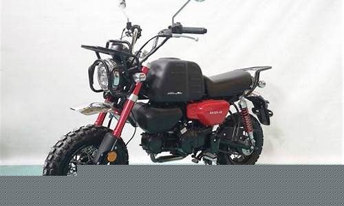 125摩托车加92汽油好吗-125摩托车汽油价格